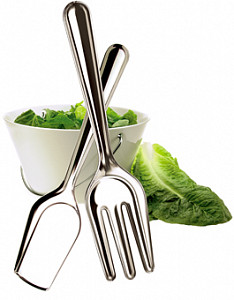 515301_567810_salad_set[1].jpg